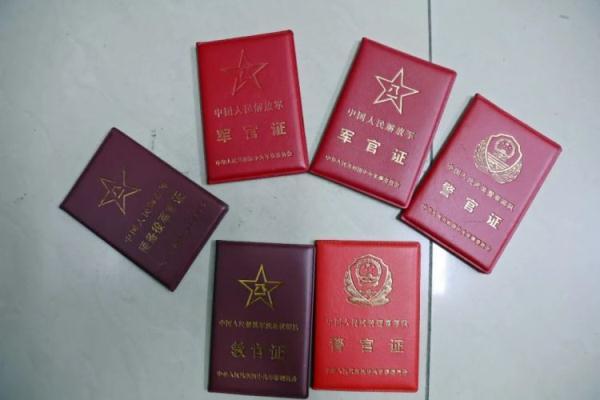 bbin试玩金